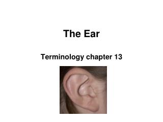 The Ear