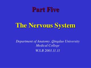Part Five The Nervous System