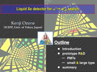 Liquid Xe detector for m + g ｅ + g search