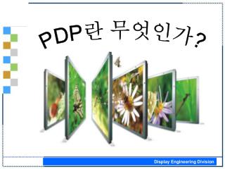 PDP 란 무엇인가 ?