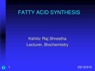 FATTY ACID SYNTHESIS