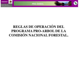 REGLAS DE OPERACIÓN DEL PROGRAMA PRO-ARBOL DE LA COMISIÓN NACIONAL FORESTAL.
