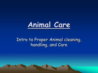 Animal Care