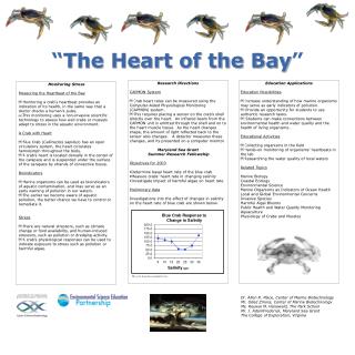 “ The Heart of the Bay ”