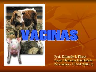 VACINAS