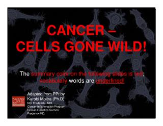 CANCER – CELLS GONE WILD!