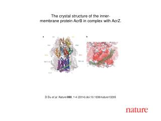 D Du et al. Nature 000 , 1 - 4 (2014) doi:10.1038/nature 13205