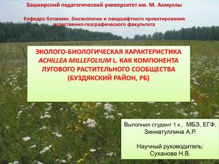 В ыполнил студент 1 к., МБЭ, ЕГФ, Зиннатуллина А.Р . Научный руководитель: Суханова Н.В.