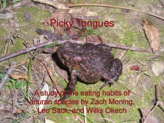 Picky Tongues