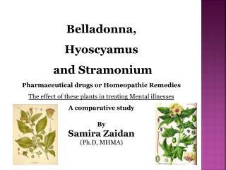 Belladonna , Hyoscyamus and Stramonium Pharmaceutical drugs or Homeopathic Remedies