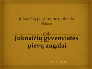 Juknaičių pagrindinė mokykla 9klasė Juknaičių gyvenvietės pievų augalai