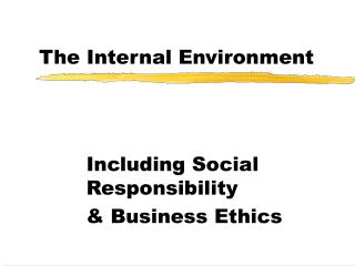 The Internal Environment