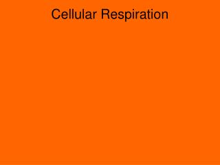 Cellular Respiration