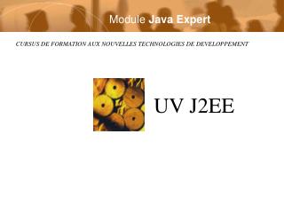 Module Java Expert