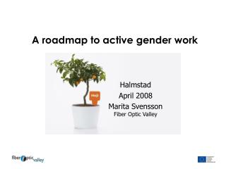 A roadmap to active gender work