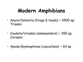 Modern Amphibians