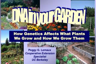 How Genetics Affects What Plants We Grow and How We Grow Them