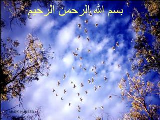 بسم الله الرحمن الرحیم