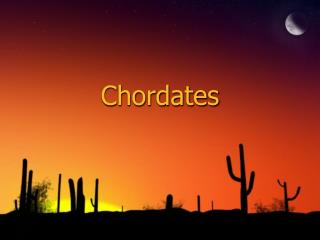 Chordates