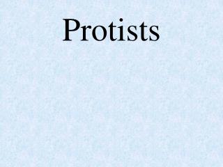 Protists