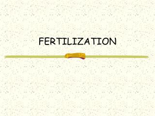 FERTILIZATION