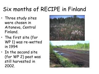 Six months of RECIPE in Finland