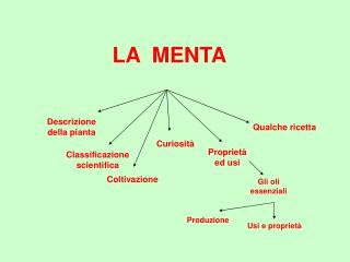 LA MENTA