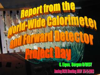 Report from the World-Wide Calorimeter and Forward Detector Project Day