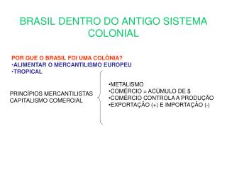 BRASIL DENTRO DO ANTIGO SISTEMA COLONIAL