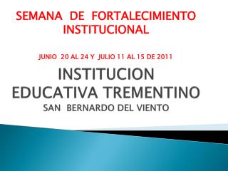 INSTITUCION EDUCATIVA TREMENTINO SAN BERNARDO DEL VIENTO