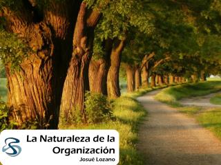 La Naturaleza de la Organización Josué Lozano