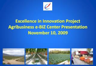 Excellence in I nnovation Project Agribusiness e-BIZ Center Presentation November 10, 2009