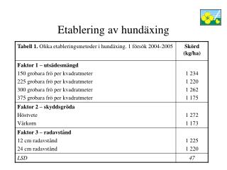 Etablering av hundäxing