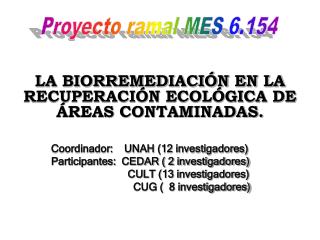 Coordinador: UNAH (12 investigadores) Participantes: CEDAR ( 2 investigadores)