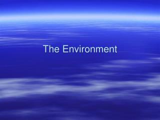 The Environment