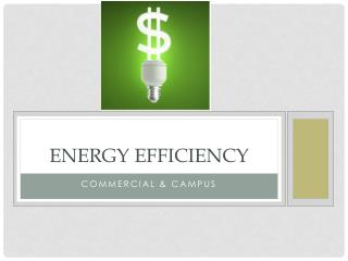 Energy Efficiency