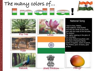 The many colors of…