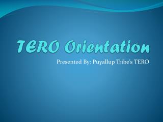 TERO Orientation