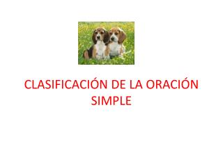 CLASIFICACIÓN DE LA ORACIÓN SIMPLE