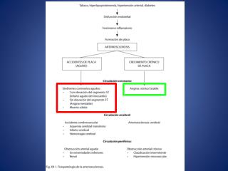 Cardiopatía isquémica (arterioesclerosis coronaria)