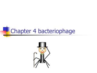 Chapter 4 bacteriophage