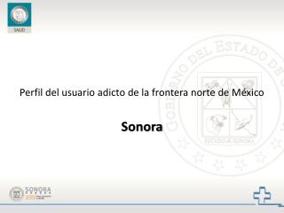 Perfil del usuario adicto de la frontera norte de México Sonora