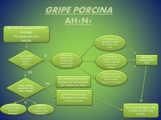 GRIPE PORCINA AH1N1