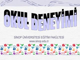 SİNOP ÜNİVERSİTESİ EĞİTİM FAKÜLTESİ sinop.tr