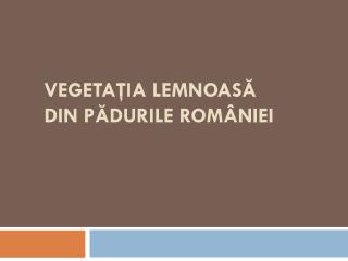 VEGETA ŢIA LEMNOASĂ DIN PĂDURILE ROMÂNIEI