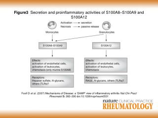 Figure3 Secretion and proinflammatory activities of S100A8 – S100A9 and S100A12