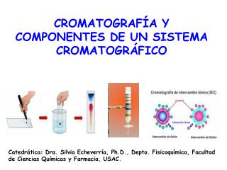 CROMATOGRAFÍA Y COMPONENTES DE UN SISTEMA CROMATOGRÁFICO