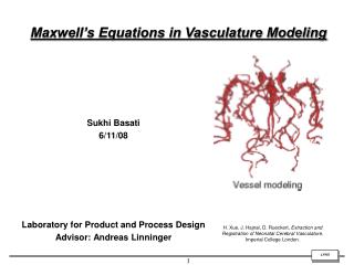 Maxwell’s Equations in Vasculature Modeling