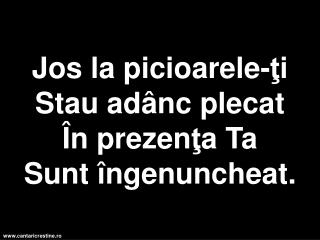 Jos la picioarele- ţ i Stau ad â nc plecat Î n prezen ţ a T a Sunt î ngenuncheat .