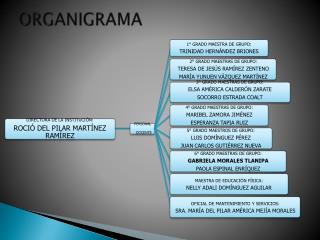 ORGANIGRAMA